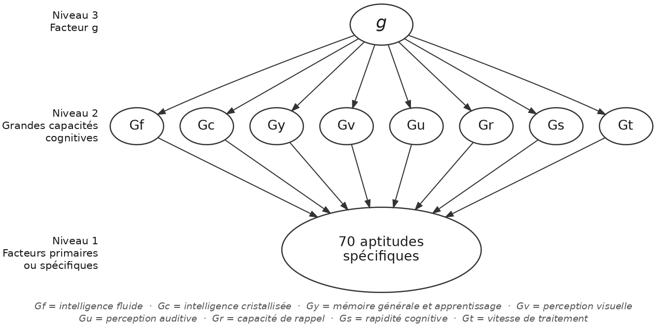 Schéma du modèle Cattell-Horn-Carroll : Niveau 3 facteur g, Niveau 2 grandes capacités cognitives (Gf, Gc, Gy, Gv, Gu, Gr, Gs, Gt), Niveau 1 environ 70 aptitudes spécifiques.